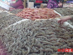 石家庄年货市场水产品价格平稳，鲍鱼海参大方吃