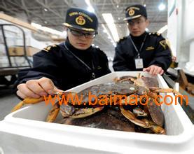 青岛进口水产品报关流程与要点全解析