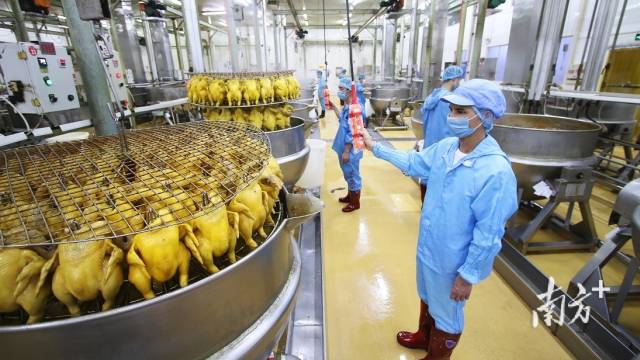 广东县域“食力”新版图 舌尖上的水产品如何更有滋味？
