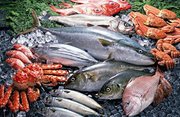 最完整最全面的食物相克表 水产品篇