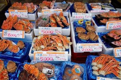 日本水产品遭中国海关拦截 贸易合规性与区域安全的新节点