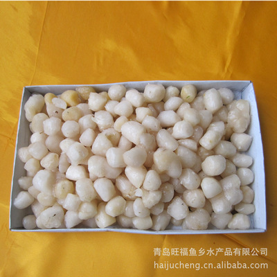 专业批发优质扇贝柱 冷冻扇贝柱【图】 量大从优 欢迎来电 - 专业批发优质扇贝柱 冷冻扇贝柱【图】 量大从优 欢迎来电厂家 - 专业批发优质扇贝柱 冷冻扇贝柱【图】 量大从优 欢迎来电价格 - 青岛旺福鱼乡水产品 - 