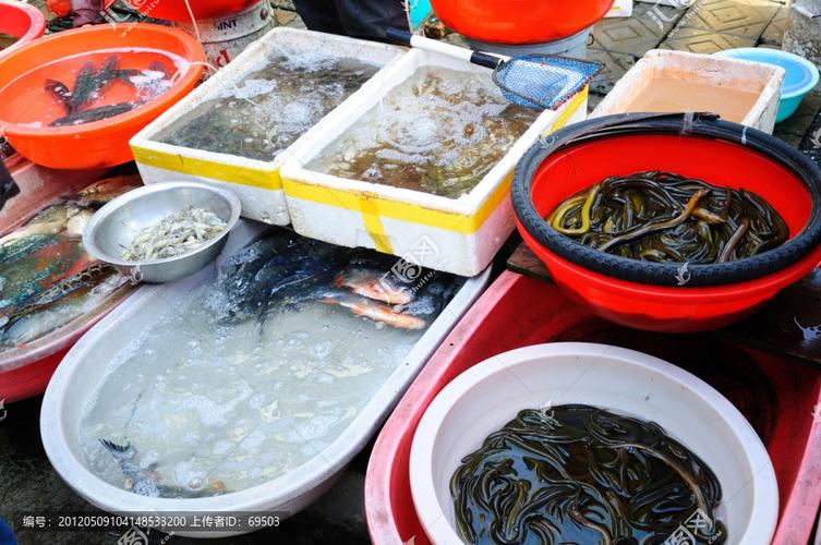 水产品市场深度观察 从供需格局到未来趋势